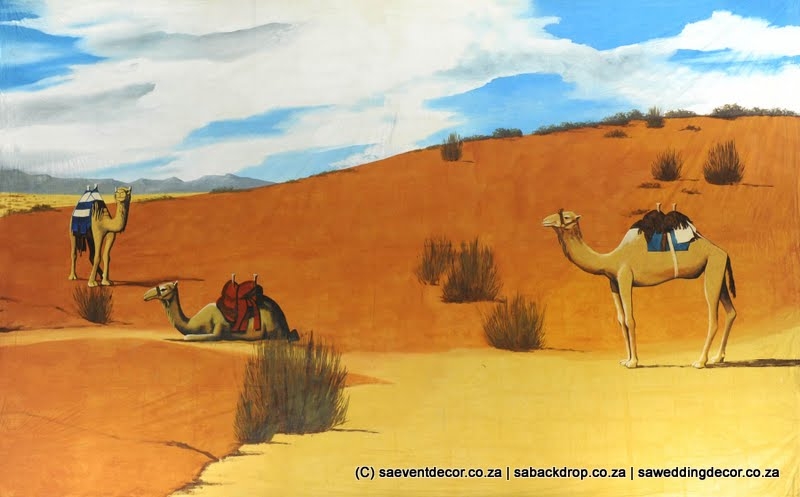 Bacara09 Arabian Traveling Camel Man Backdrop