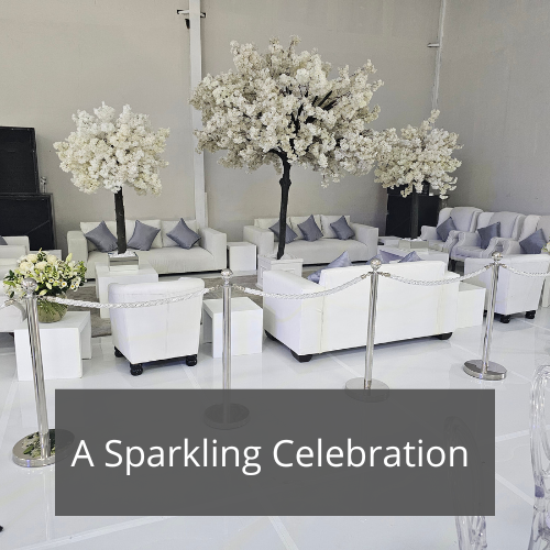 A Sparkling Celebration: 10th Anniversary Gala