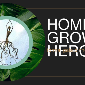 Home Grown Heroes 1