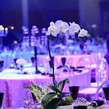 Awards Evening at Radisson Hotel Convention Centre 12