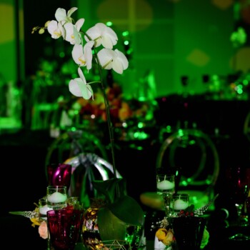 Awards Evening at Radisson Hotel Convention Centre 6