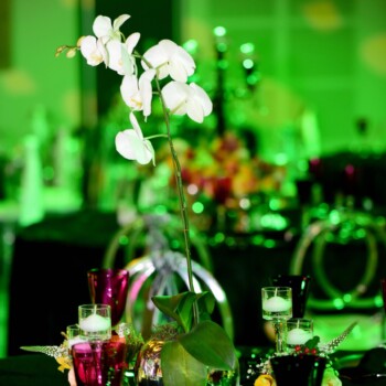 Awards Evening at Radisson Hotel Convention Centre 13