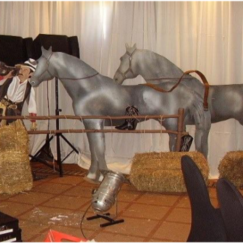 Wild West 13