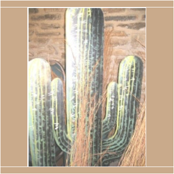 Wild West 7