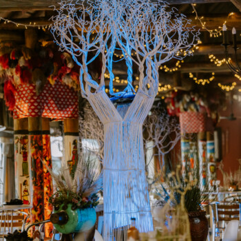 Boabab Tree African Event Cocktail 3