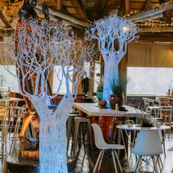 Boabab Tree African Event Cocktail 4