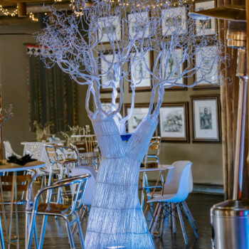 Boabab Tree African Event Cocktail 5