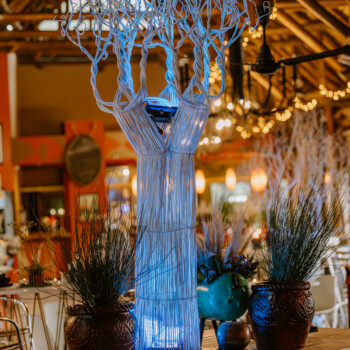 Boabab Tree African Event Cocktail 9