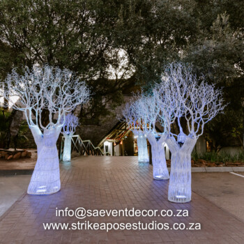 Boabab Tree African Event Cocktail 1