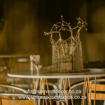 Boabab Tree African Event Cocktail 20