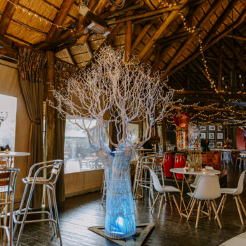 Boabab Tree African Event Cocktail 29