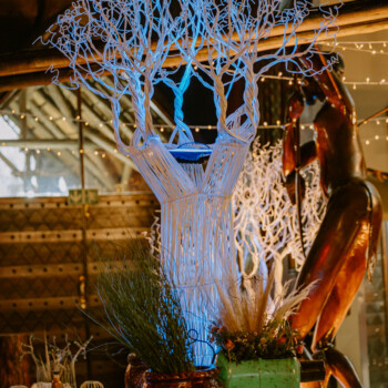 Boabab Tree African Event Cocktail 35