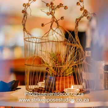 Boabab Tree African Event Cocktail 46