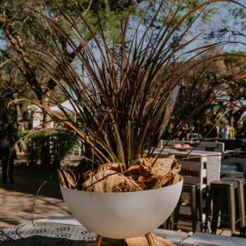 Soft African Themed cocktail 4
