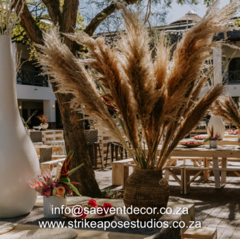 Soft African Themed cocktail 12