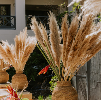 Soft African Themed cocktail 27