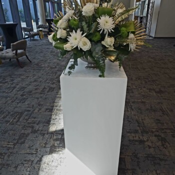 Proudly Green & Gold 3