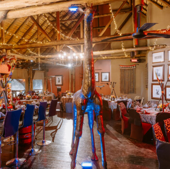 African Safari 11