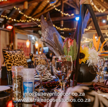 African Safari 15