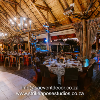 African Safari 19