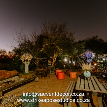 African Safari 24