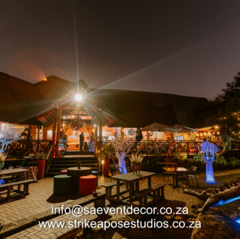 African Safari 26