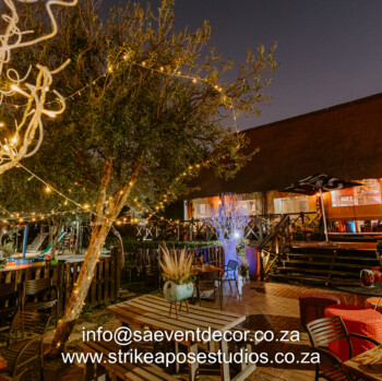 African Safari 27
