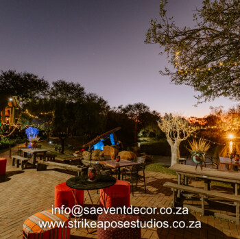 African Safari 29