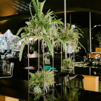 Cocktail black and gold 7