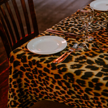 African Safari 38