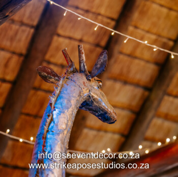 African Safari 42