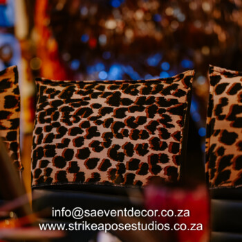 African Safari 43