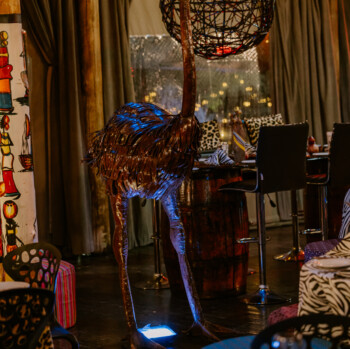 African Safari 47