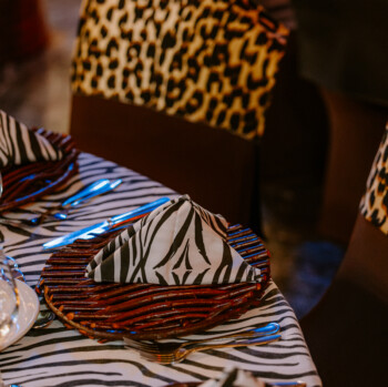 African Safari 49