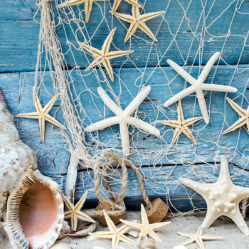 Nautical Themed Backdrops 1
