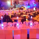 Fire & Ice Themed Event 7