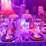 Fire & Ice Themed Event 13