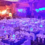 Fire & Ice Themed Event 15