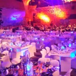 Fire & Ice Themed Event 16