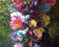In The Jungle 6
