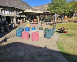 Recent Event Decor 1