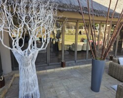 Recent Event Decor 4