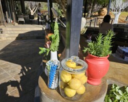 Recent Event Decor 7