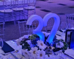 Number and Triumph 7