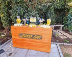 Recent Event Decor 30