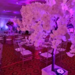 Cherry Blossom Themed Event 18