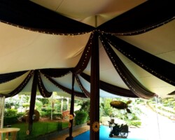 Steampunk Themed Event 8