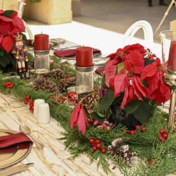 A Poinsettia Christmas at Montecasino 3
