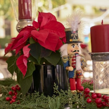 A Poinsettia Christmas at Montecasino 25