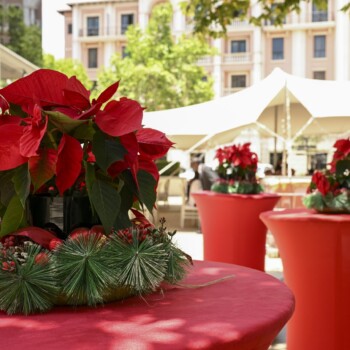 A Poinsettia Christmas at Montecasino 6